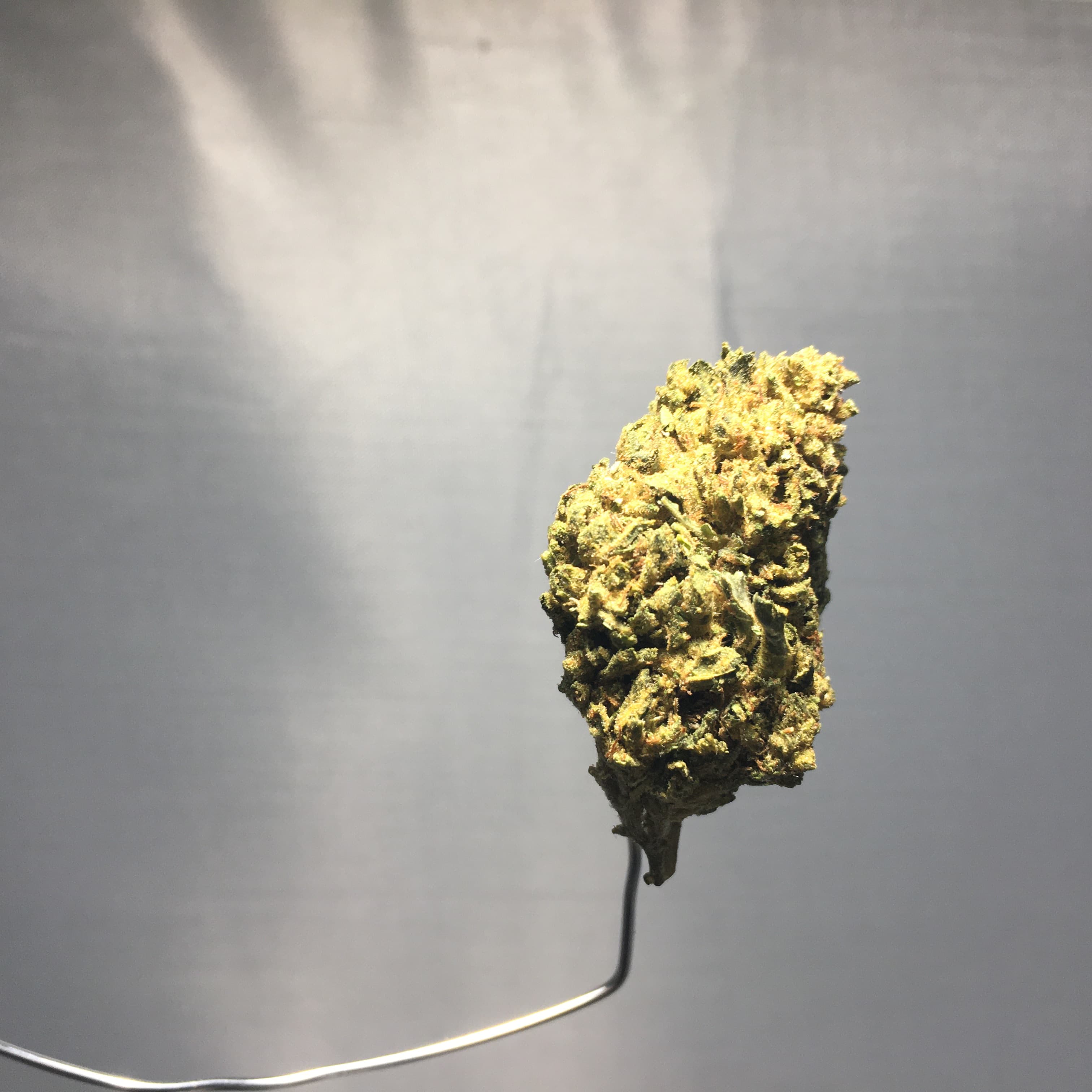 Northern Lights