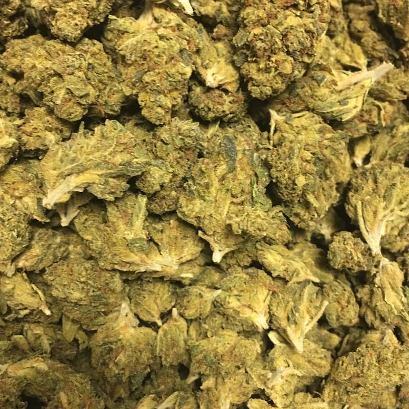 Super Glue